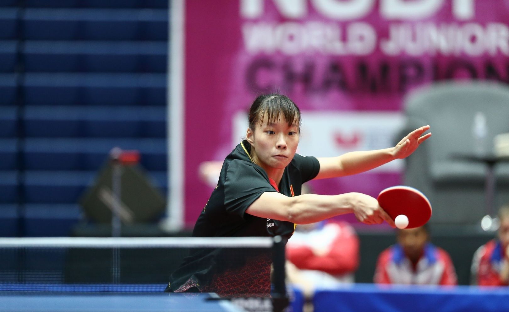 以适应结构 以适应结构